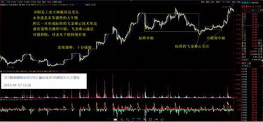 解密600630龙头股份，深入理解其投资价值与未来潜力