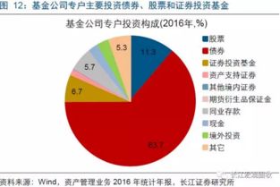 深入解析股票002635，安洁科技的投资潜力与市场前景