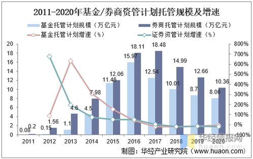 稳健增长与未来展望