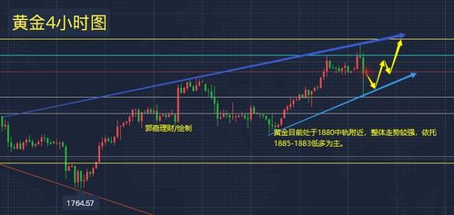 投资理财专家的深入分析与建议