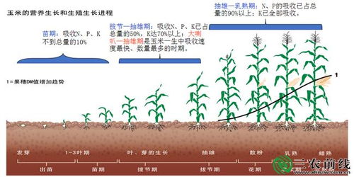 深入解读丰乐种业（000713），农业现代化的中坚力量