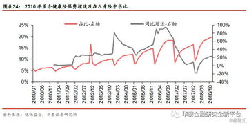 投资机遇与未来展望