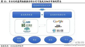 基因测序概念股，解锁生命密码的投资新宠