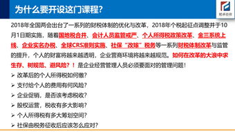 价值投资与风险应对的深度解析