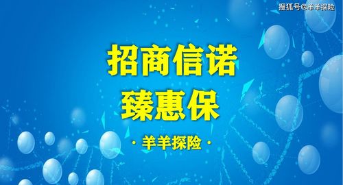 深入解读招商信诺人寿，优质保险服务的可靠选择