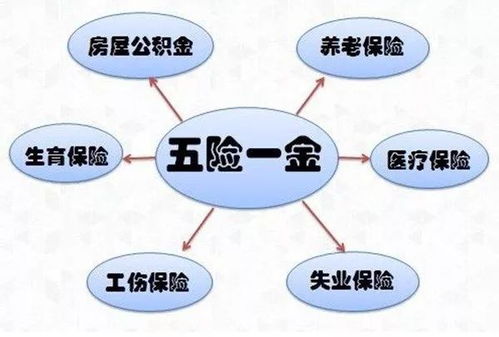 保障与性价比的双重考量