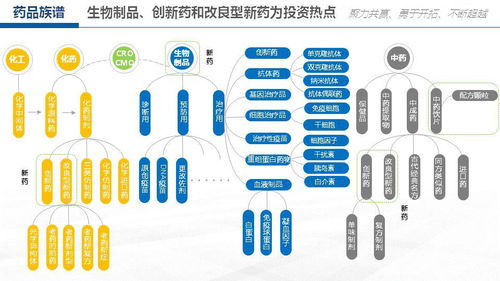 生物医药领域的投资分析