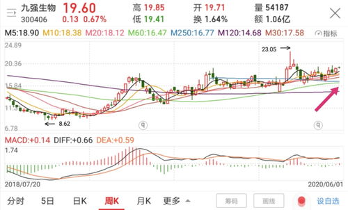 洪涛股份股票，了解其投资价值与未来潜力