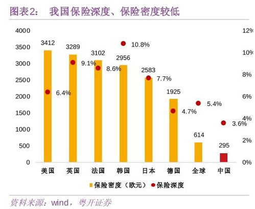 投资与价值的深度剖析