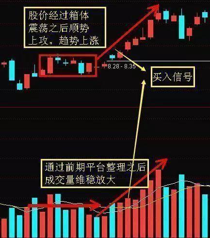 成交量指标在投资理财中的重要性及应用