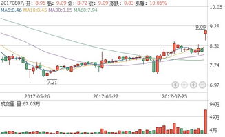 深入了解600789鲁抗医药，医药行业的中流砥柱与未来展望