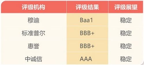 探索多元化发展的综合型企业