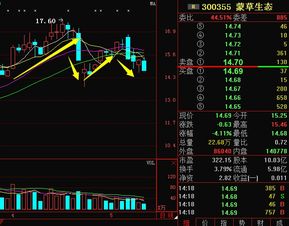 深入解读600086股票，投资潜力与风险分析