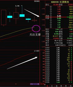 深入解析江苏阳光股票，投资机会与风险分析