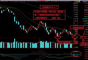 深入解析002373股票，投资机遇与风险分析