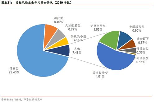 深入了解590001基金，投资策略、风险与收益分析