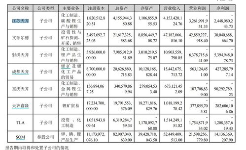 天齐锂业股票，投资前景与深度解析