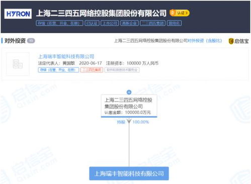 深入解析股票002195——二三四五网络控股集团股份有限公司的投资价值与风险