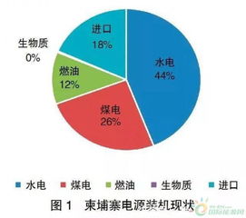 机遇与风险并存的电子产业相关企业