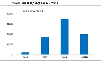 投资机会与风险解析