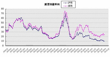 深度剖析300183股票，投资价值与风险评估