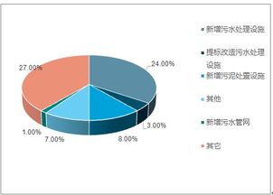 投资前景与风险评估