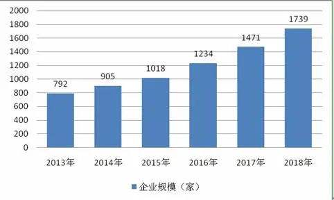 投资前景与风险分析