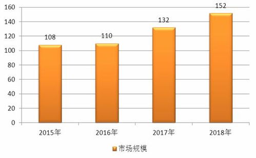 投资前景与风险分析