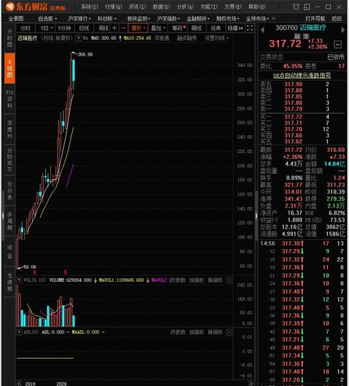 深入解读理邦仪器股票，投资潜力与未来前景