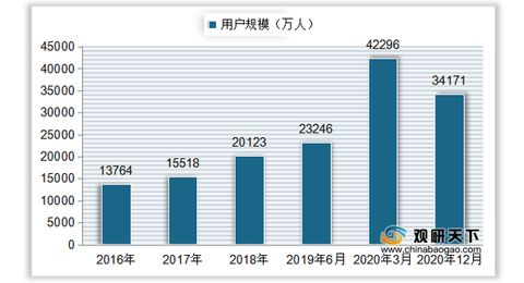 深度解析与投资前景