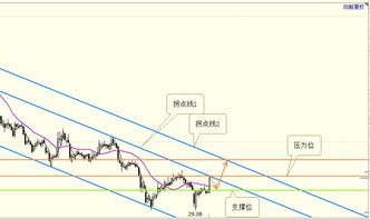 解读600759股吧，深入理解股票论坛的价值与风险