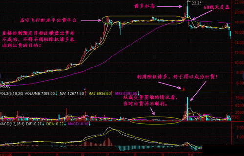 走进三房巷股票，如何让您的投资像开财富之门的钥匙