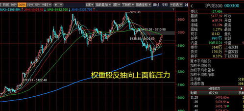 解读000155股票，投资机会与风险分析