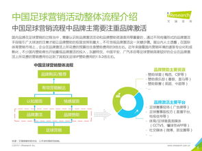 探索中国领先的IT解决方案提供商的投资价值