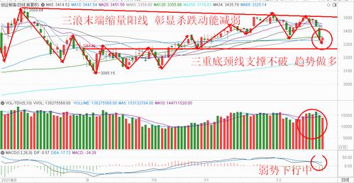 深入解析洛阳玻璃股票，投资机会与风险分析