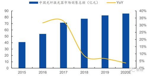 投资价值与未来前景的深度解析