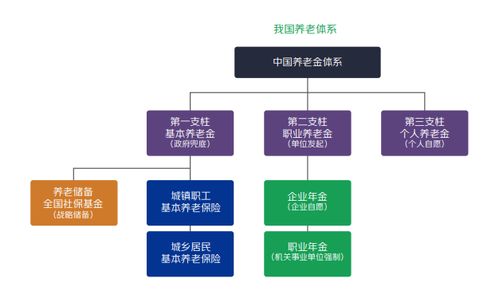 全面解析与投资建议