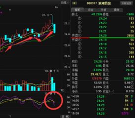 解析股票000977——浪潮信息的投资价值与风险评估