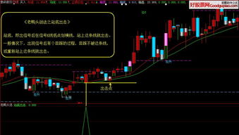 轻松掌握大智慧选股公式，开启你的投资智慧之旅