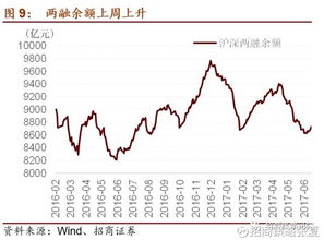 深度剖析600113股票，投资机会与风险评估