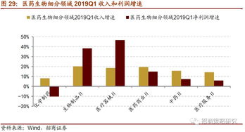 深度剖析600113股票，投资机会与风险评估