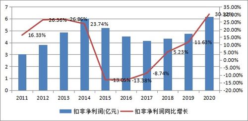 嘉实成长基金深度解析，投资策略、业绩表现与未来发展