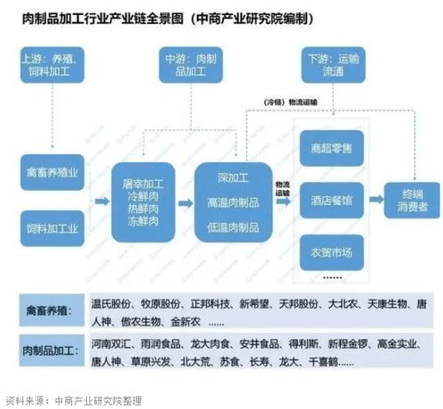 解码东莞控股（000828），探索其发展历程、业务布局与未来潜力