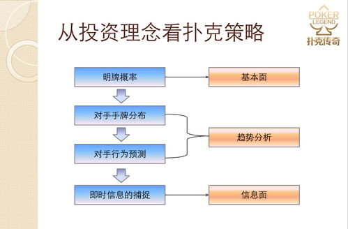 理解、分析与投资策略