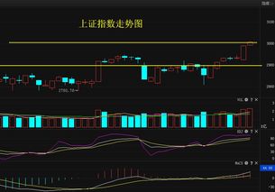 漳州发展股票投资分析