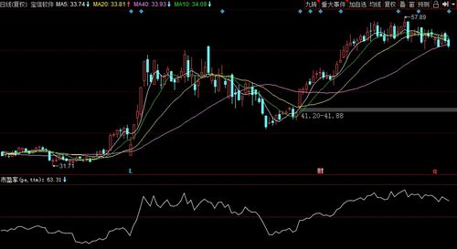 杭钢股份（600126），钢铁行业的砥柱与未来发展的新机遇