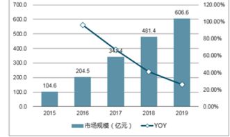 深入解读002482股票，投资潜力与风险分析