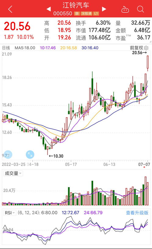 深入解读川润股份股票，潜力与前景的全面分析