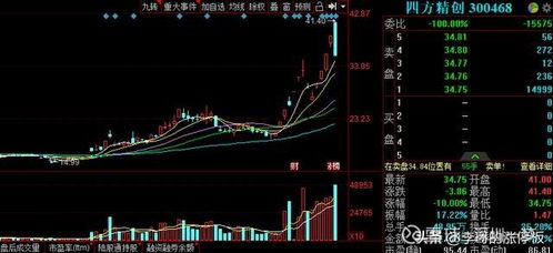 深入解读聚龙股份股票，投资机会与风险并存