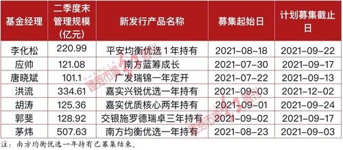 深入了解110029基金，投资策略、表现及未来展望